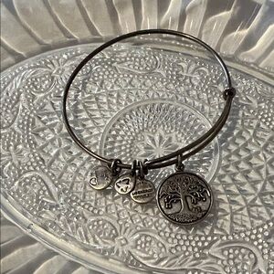 Alex and Ani Silver Charm Bracelet